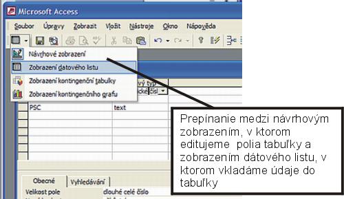 príslušné pole udržuje. Dátový typ polí môže byť: text, číslo, automatické číslo, memo, dátum a čas, objekt OLE, hypertextový odkaz, atď.