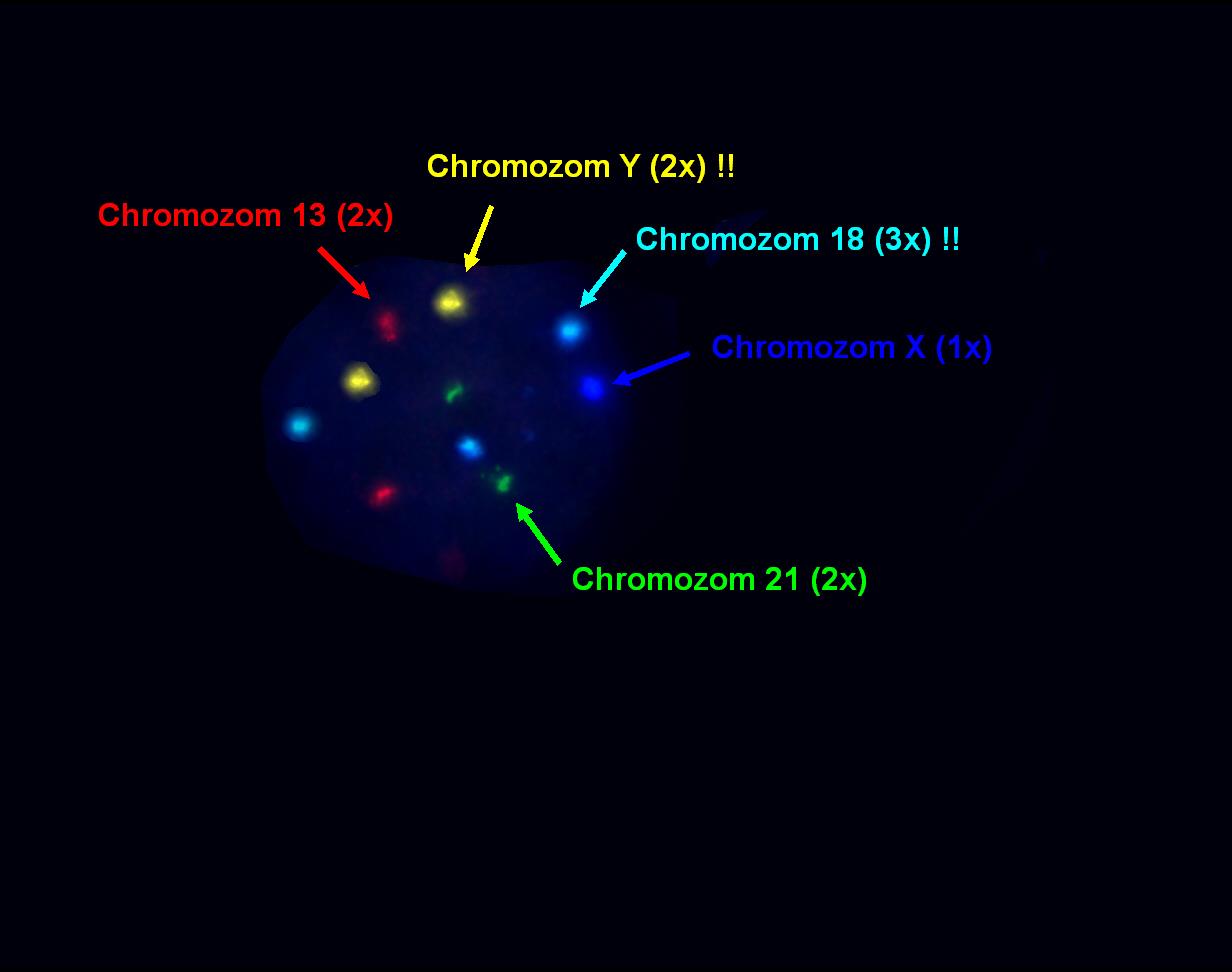In vitro