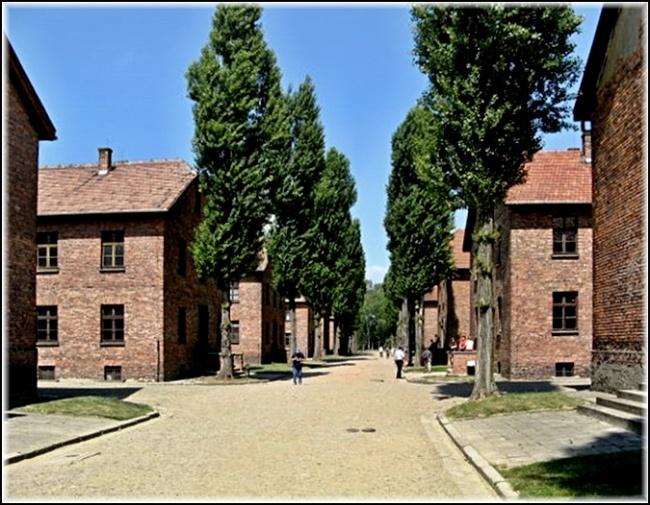 Kapacita Osvětimi I. se pohybovala mezi 15 000 20 000 vězni. S výjimkou roku 1942, kdy bylo v barácích namačkáno přes 20 000 lidí, se počet uvězněných pohyboval mezi 13 000 16 000.