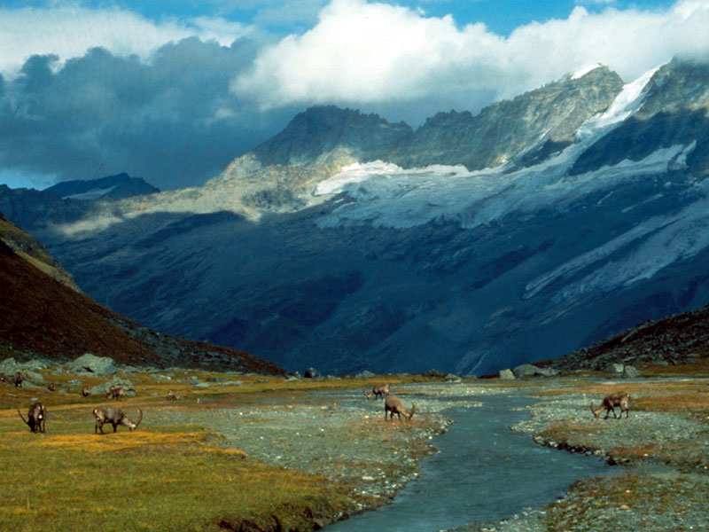 Historie ochrany přírody v datech (7) 1922 Zřízení národního parku Gran Paradiso v Itálii 1926 Zřízení Krügerova národního parku v Jižní Africe