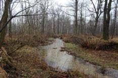 1.2 Analýza geomorfologického potenciálu přirozeného stavu vodopisné sítě Analýza využívá členění toku na pět úseků popsané dále. 1.2.1 Členění na úseky Pro účely této studie byl Ztracený potok rozčleněn na pět úseků.