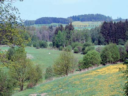 RUŠENÍ KRAJINNÝCH PRVKŮ GAEC1 PĚSTOVÁNÍ ŠIROKOŘÁDKOVÝCH PLODIN NA SVAHU GAEC2 Scelení pozemků do velkých celků a rušení krajinných prvků vyvolává zrychlenou erozi půdy.