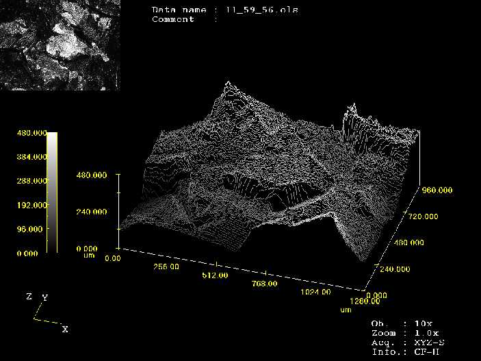 Využití konfokálního scanovacího laserového mikroskopu Konfokální mikroskop Olympus LEXT OLS3000