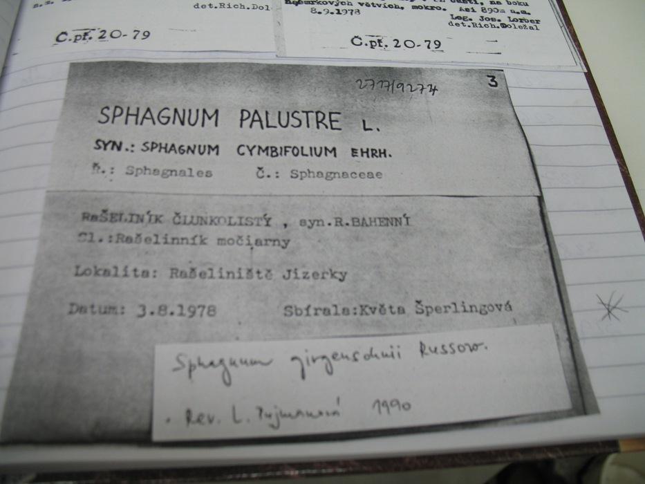 Obrázek č.