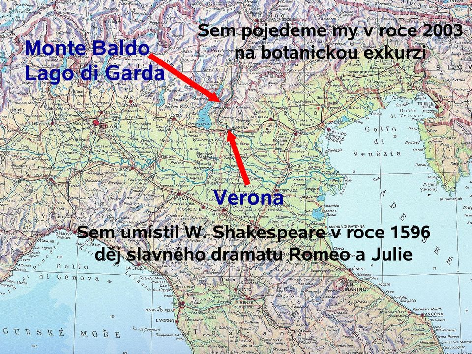 Verona Sem umístil W.
