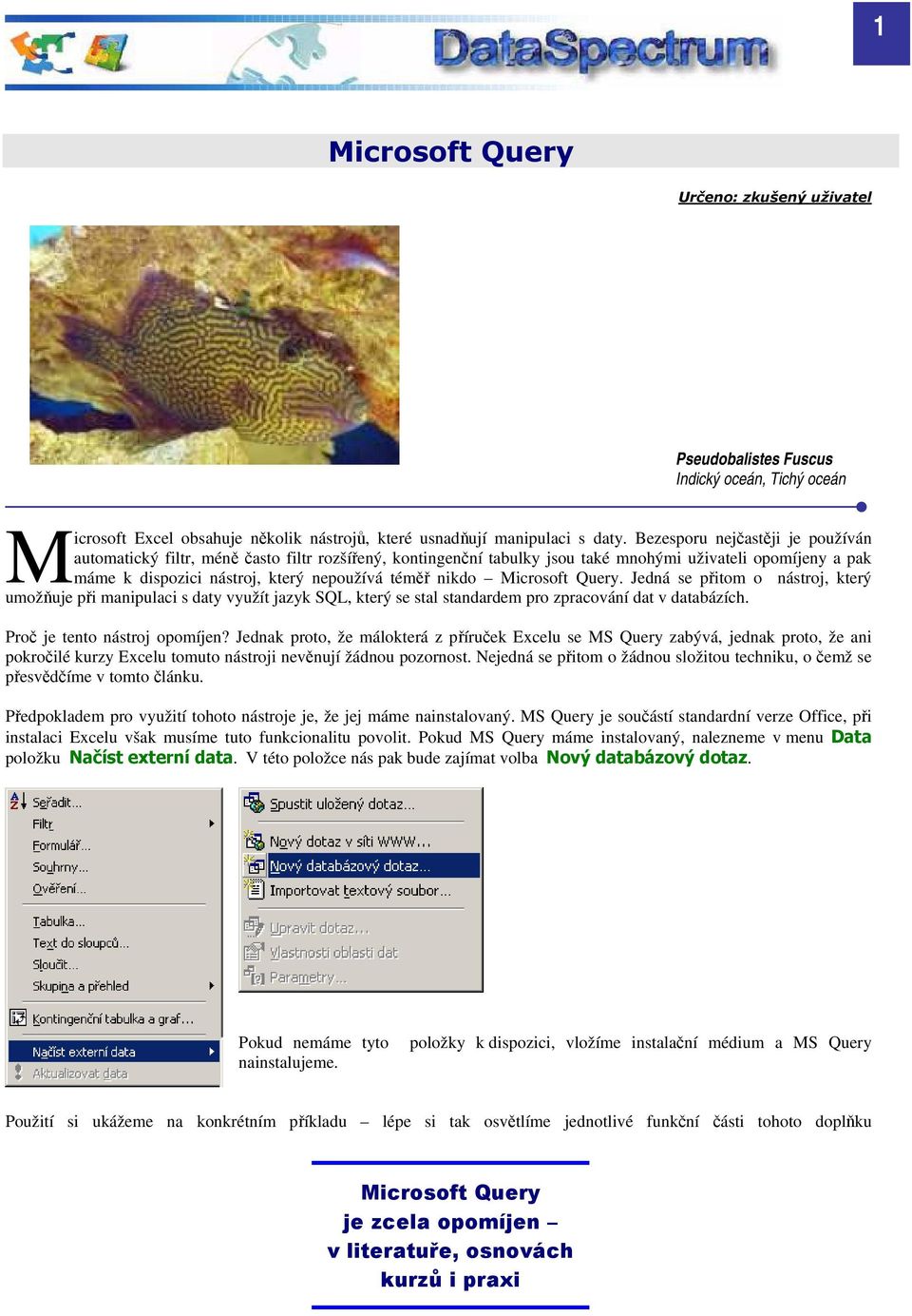 Microsoft Query. Jedná se přitom o nástroj, který umožňuje při manipulaci s daty využít jazyk SQL, který se stal standardem pro zpracování dat v databázích. Proč je tento nástroj opomíjen?
