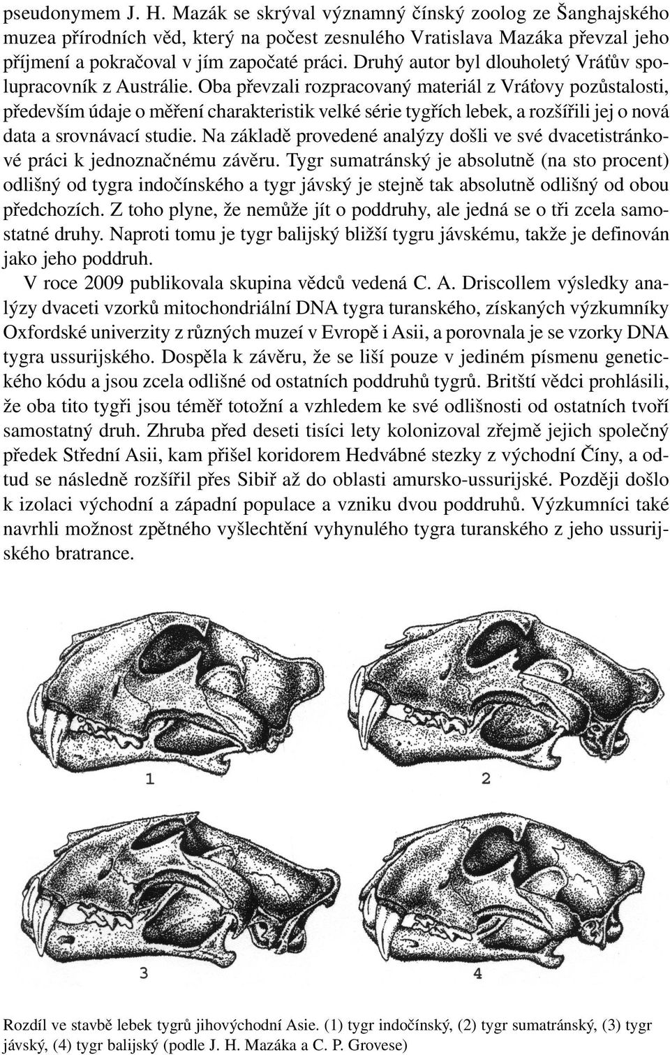 Oba převzali rozpracovaný materiál z Vráťovy pozůstalosti, především údaje o měření charakteristik velké série tygřích lebek, a rozšířili jej o nová data a srovnávací studie.