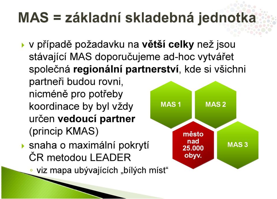 nicméně pro potřeby koordinace by byl vždy určen vedoucí partner (princip