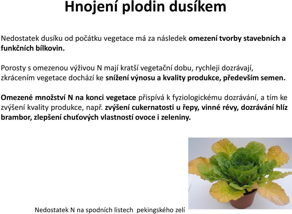 produkce, především semen.