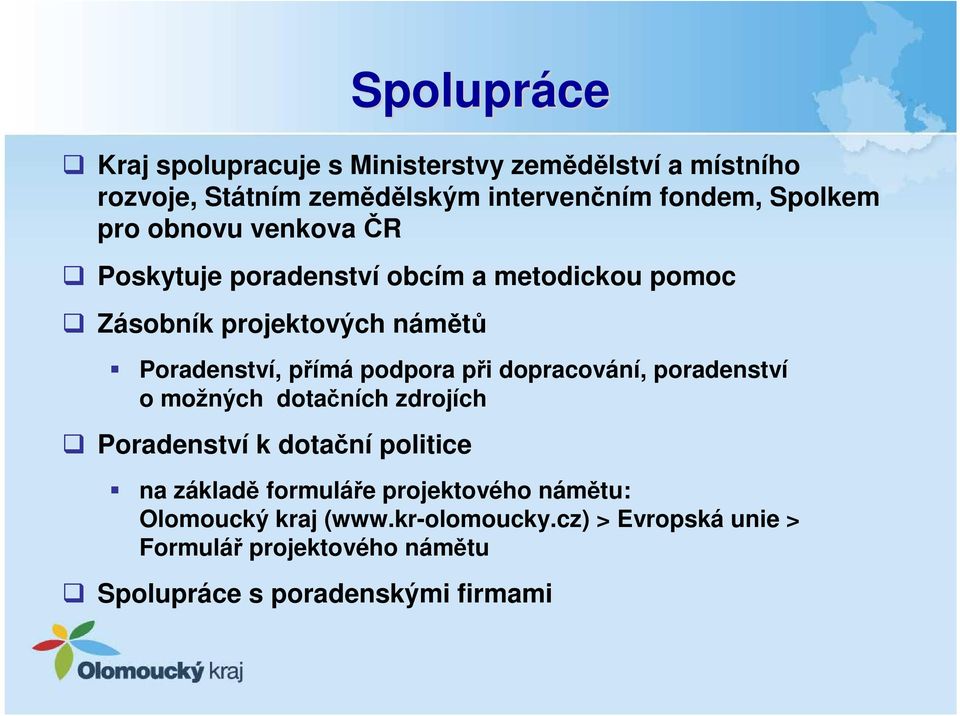 při dopracování, poradenství o možných dotačních zdrojích Poradenství k dotační politice na základě formuláře projektového