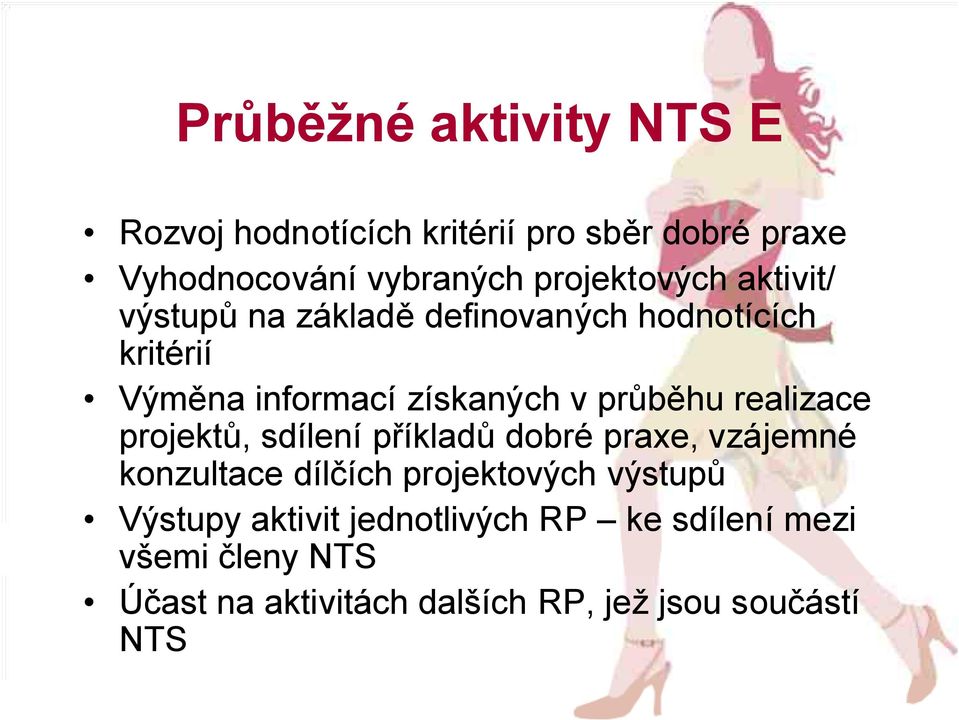 průběhu realizace projektů, sdílení příkladů dobré praxe, vzájemné konzultace dílčích projektových výstupů