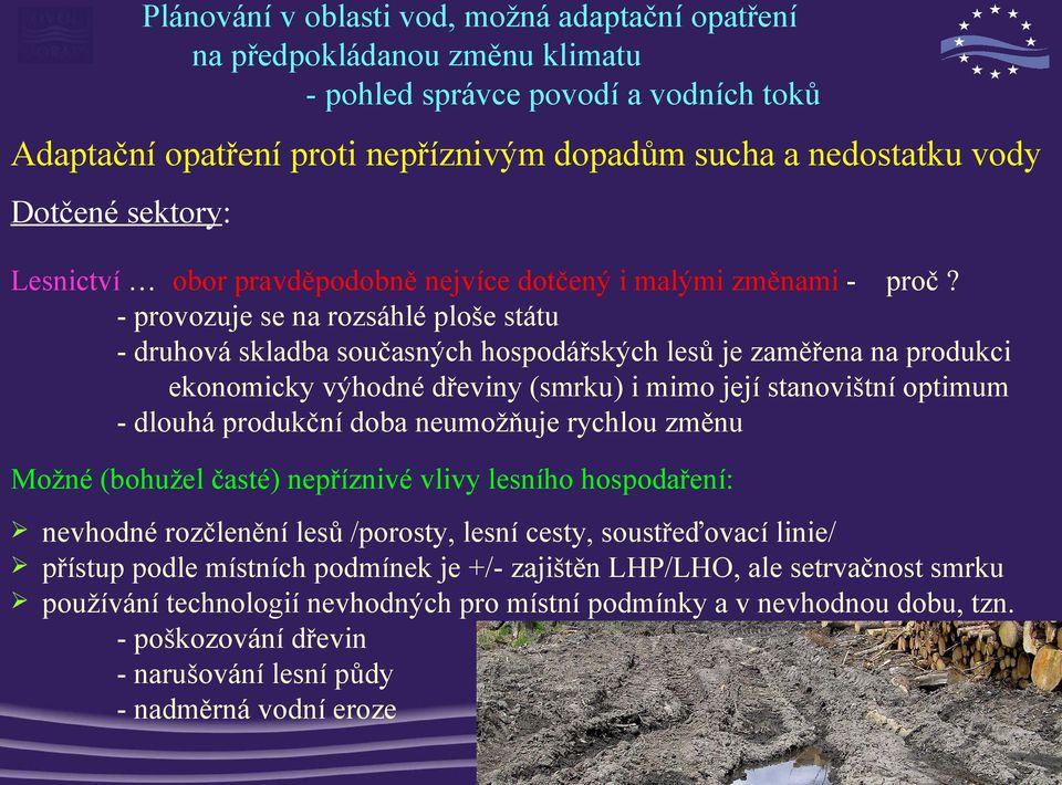 dlouhá produkční doba neumožňuje rychlou změnu Možné (bohužel časté) nepříznivé vlivy lesního hospodaření: nevhodné rozčlenění lesů /porosty, lesní cesty, soustřeďovací linie/ přístup