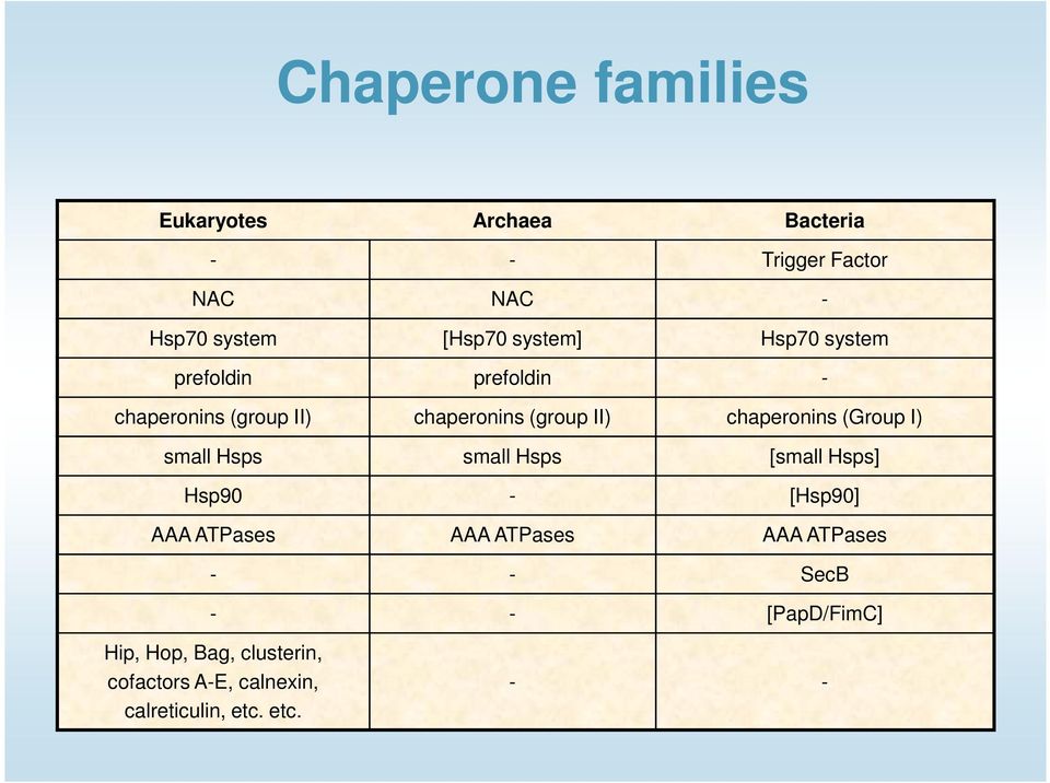 chaperonins (Group I) small Hsps small Hsps [small Hsps] Hsp90 - [Hsp90] AAA ATPases AAA ATPases