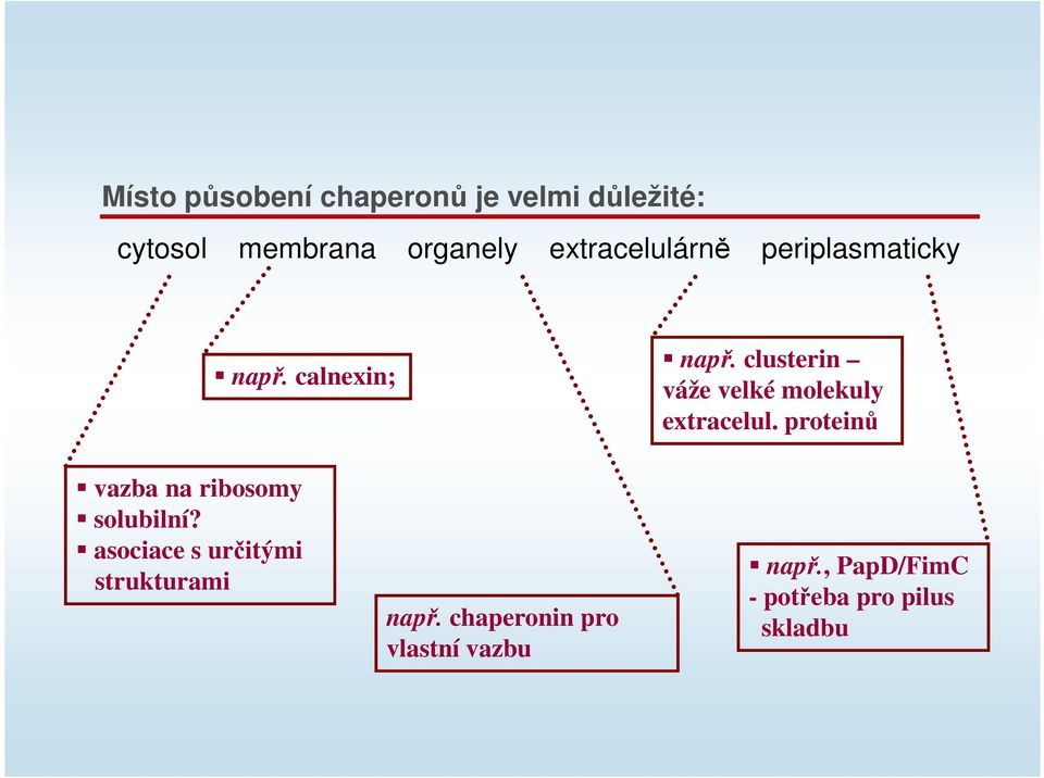 clusterin váže velké molekuly extracelul. proteinů vazba na ribosomy solubilní?