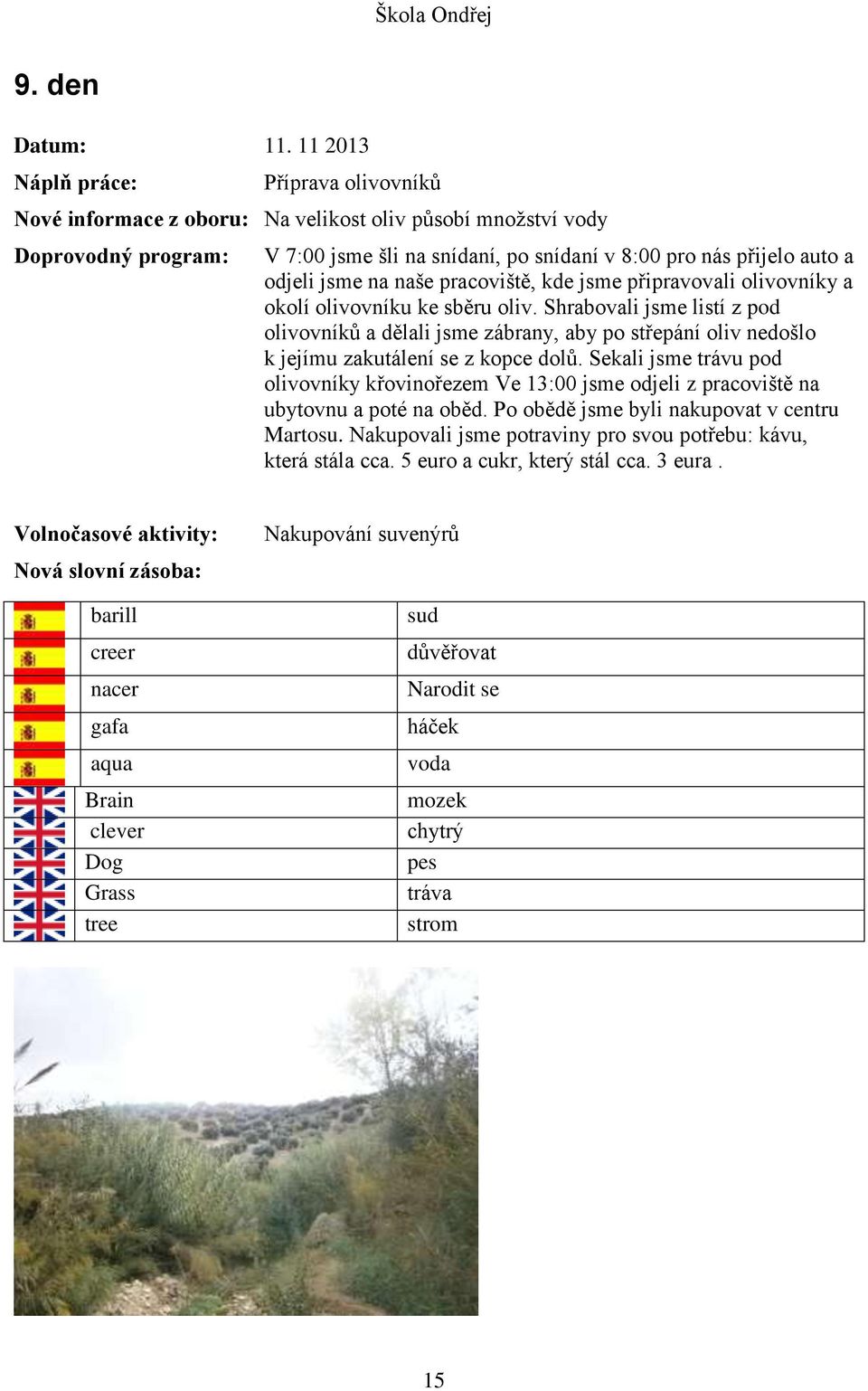 pracoviště, kde jsme připravovali olivovníky a okolí olivovníku ke sběru oliv.