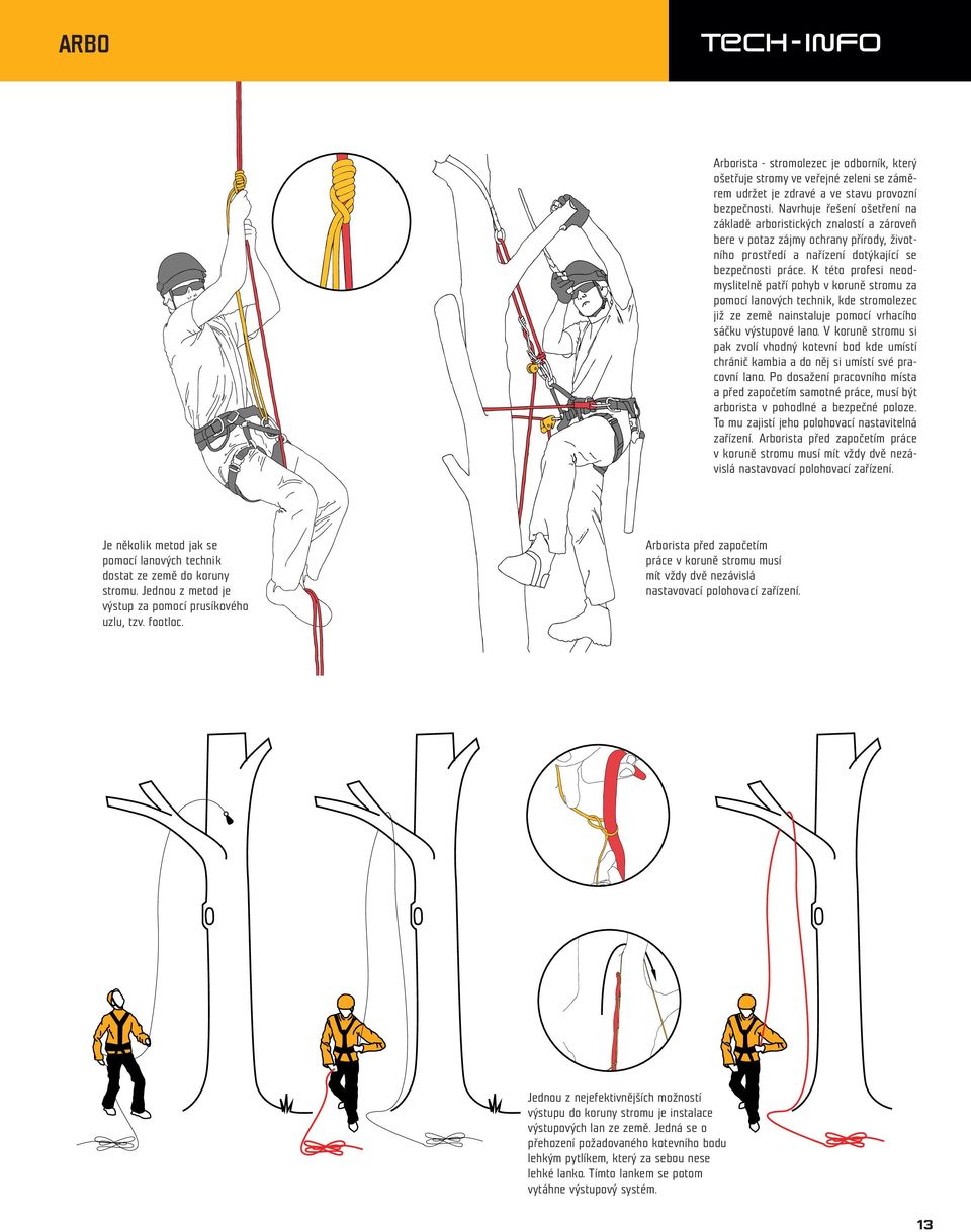 K této profesi neodmyslitelně patří pohyb v koruně stromu za pomocí lanových technik, kde stromolezec již ze země nainstaluje pomocí vrhacího sáčku výstupové lano.