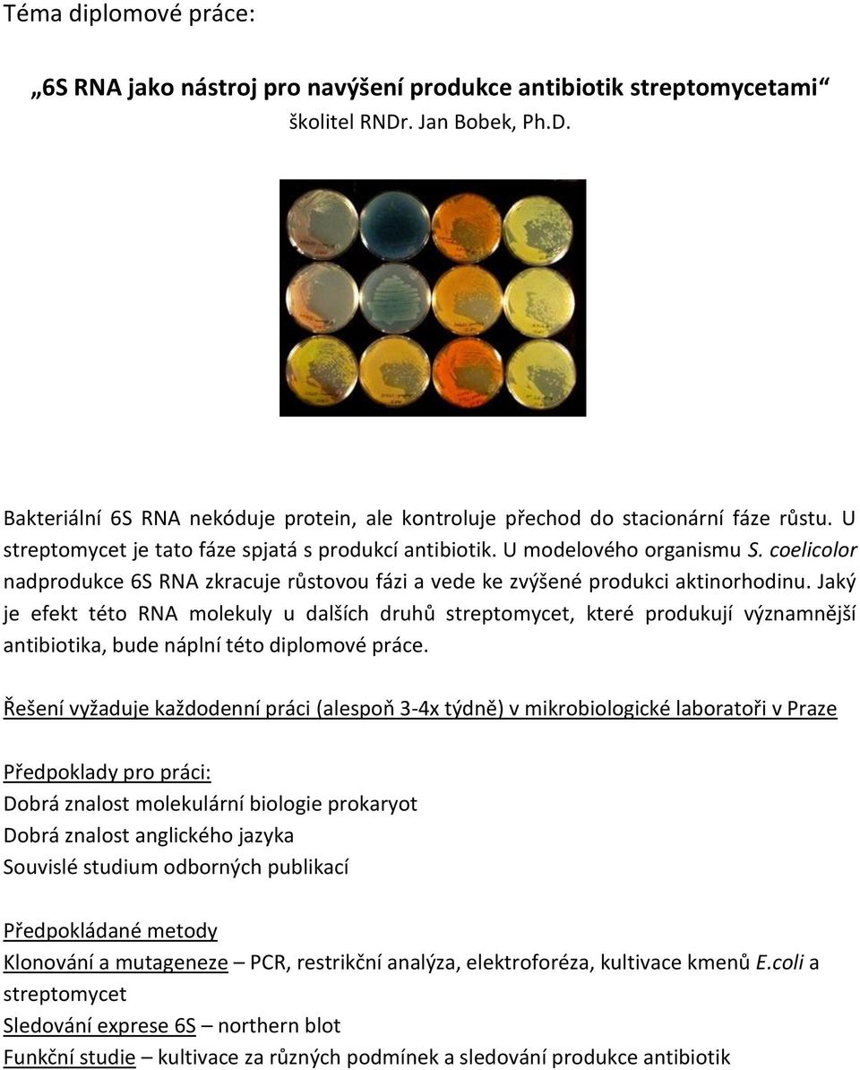 Jaký je efekt této RNA molekuly u dalších druhů streptomycet, které produkují významnější antibiotika, bude náplní této diplomové práce.