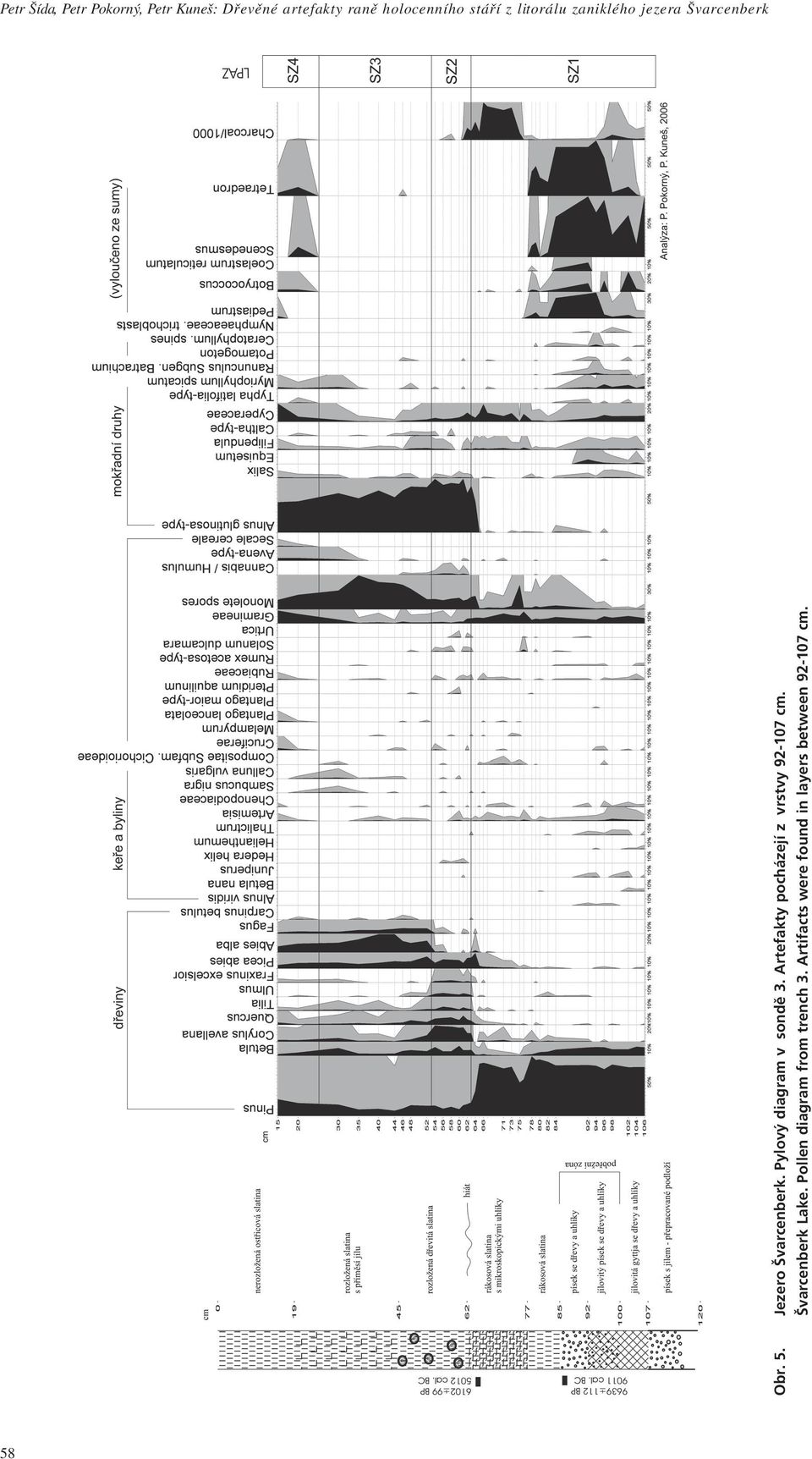 Pylov diagram v sondï 3. Artefakty poch zejì z vrstvy 92-107 cm.