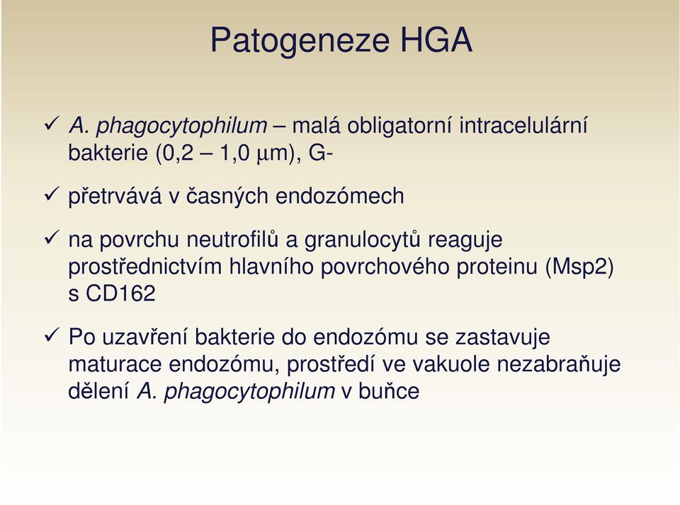 endozómech na povrchu neutrofilů a granulocytů reaguje prostřednictvím hlavního povrchového proteinu