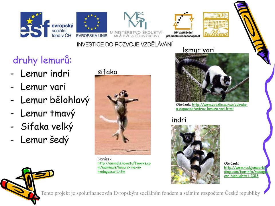 eu/cz/zvirataa-expozice/ostrov-lemuru-vari.html indri lemur vari http://animals.