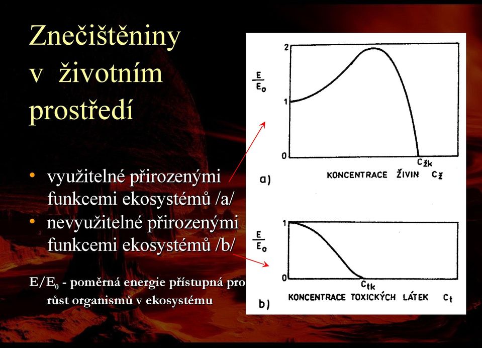 Sem zadejte vybrané informace Doleva přidejte obrázek nebo