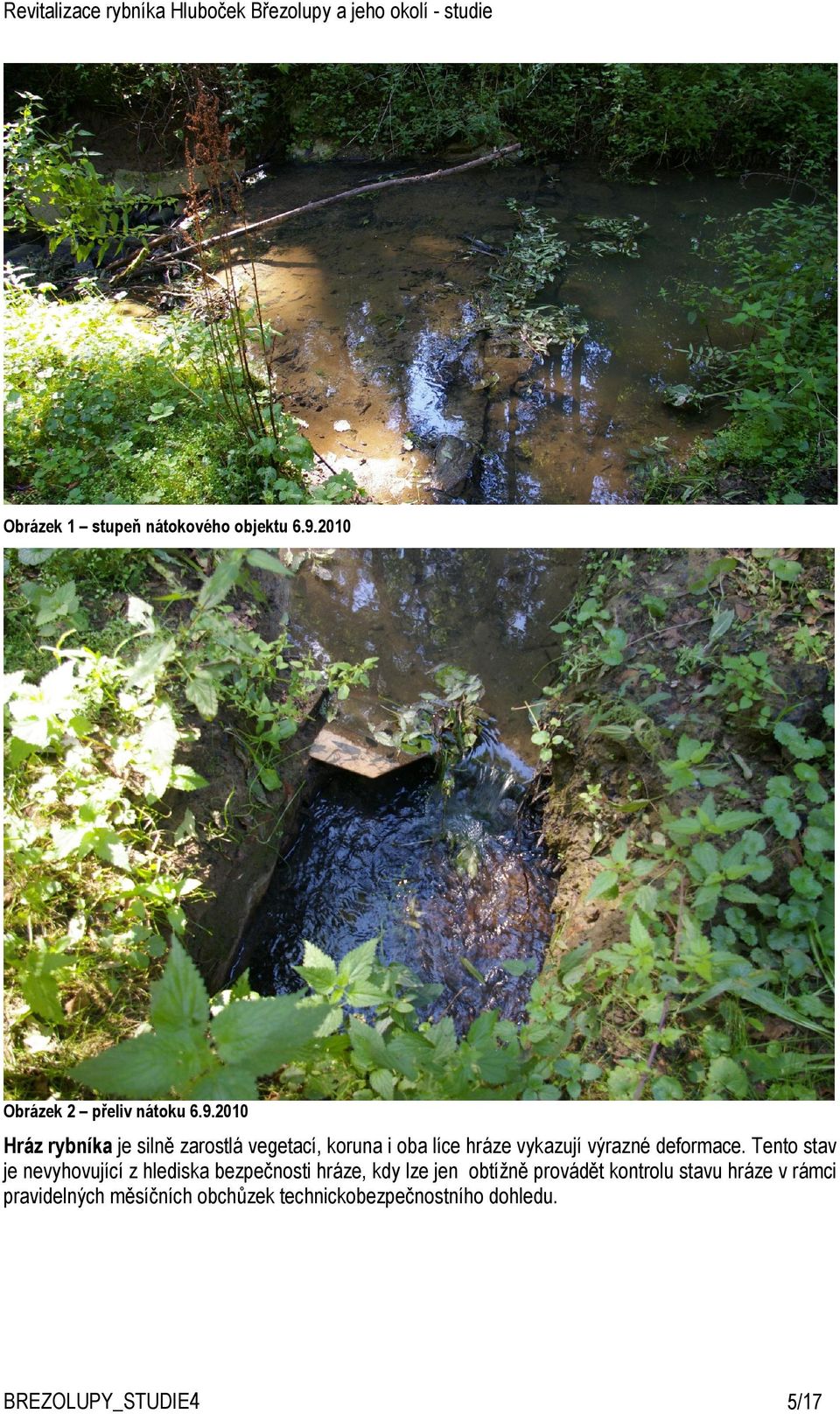 2010 Hráz rybníka je silně zarostlá vegetací, koruna i oba líce hráze vykazují výrazné
