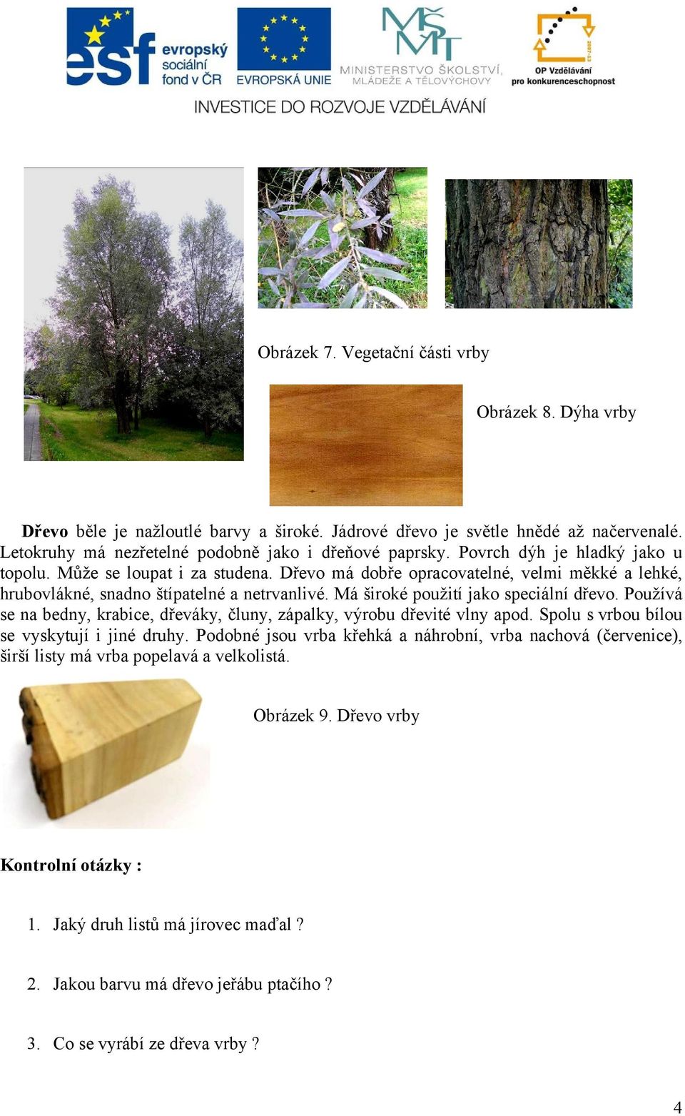 Má široké použití jako speciální dřevo. Používá se na bedny, krabice, dřeváky, čluny, zápalky, výrobu dřevité vlny apod. Spolu s vrbou bílou se vyskytují i jiné druhy.