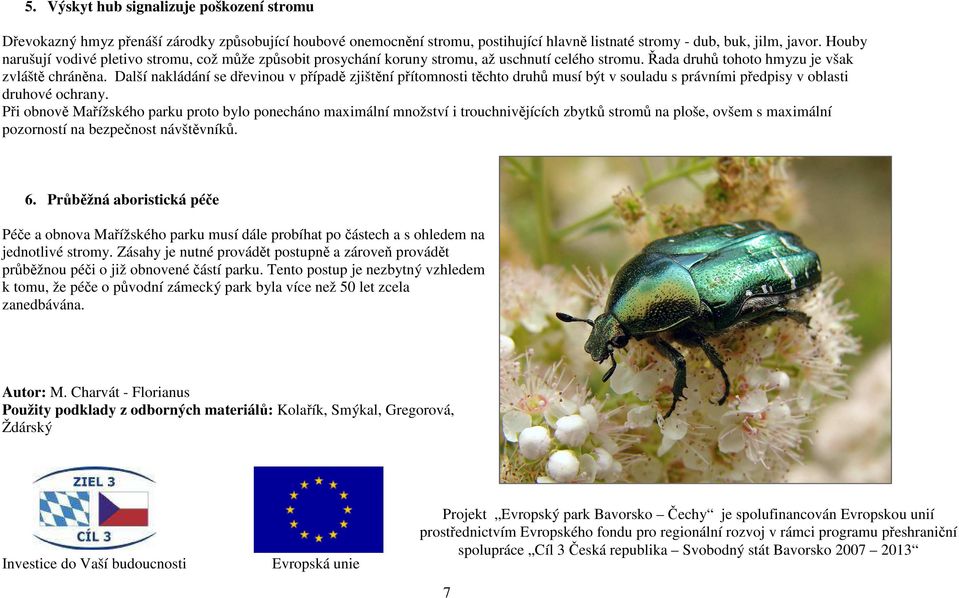 Další nakládání se dřevinou v případě zjištění přítomnosti těchto druhů musí být v souladu s právními předpisy v oblasti druhové ochrany.