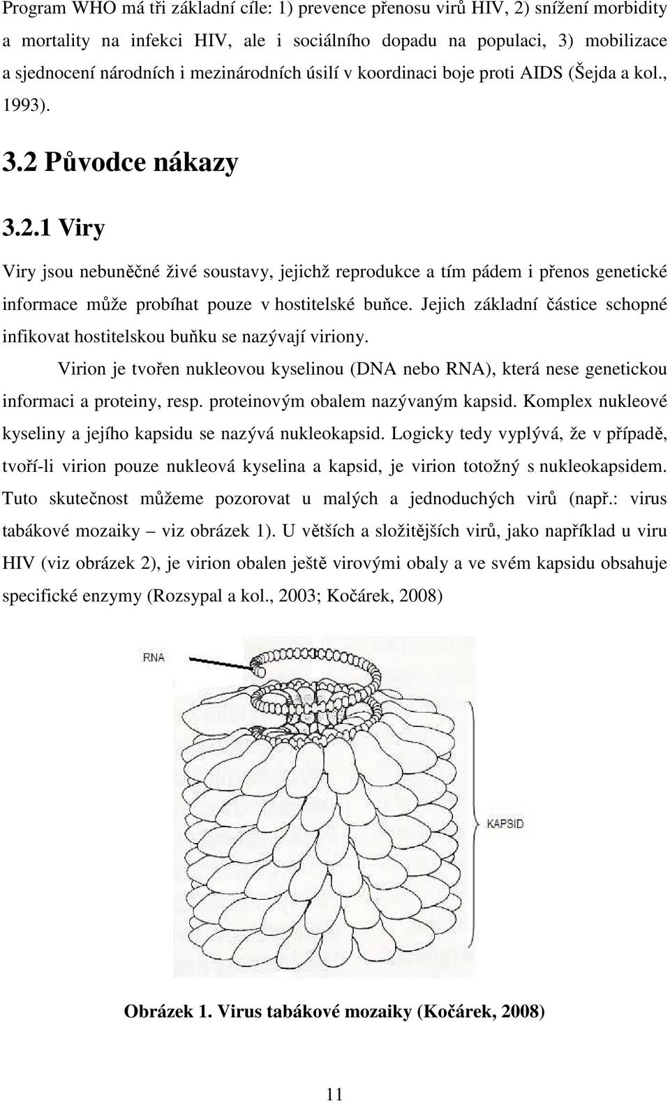 Původce nákazy 3.2.1 Viry Viry jsou nebuněčné živé soustavy, jejichž reprodukce a tím pádem i přenos genetické informace může probíhat pouze v hostitelské buňce.