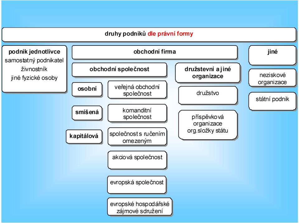 neziskové organizace státní podnik smíšená kapitálová komanditní společnost společnost s ručením omezeným