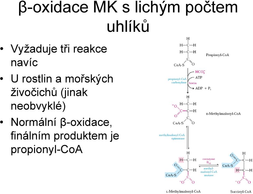 živočichů (jinak neobvyklé) Normální