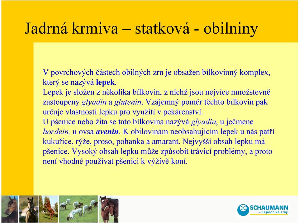 Vzájemný poměr těchto bílkovin pak určuje vlastnosti lepku pro využití v pekárenství.