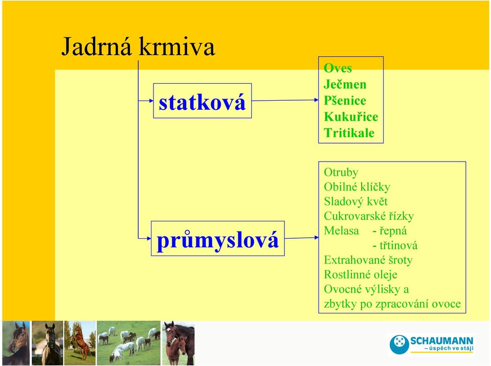 Cukrovarské řízky Melasa - řepná - třtinová Extrahované