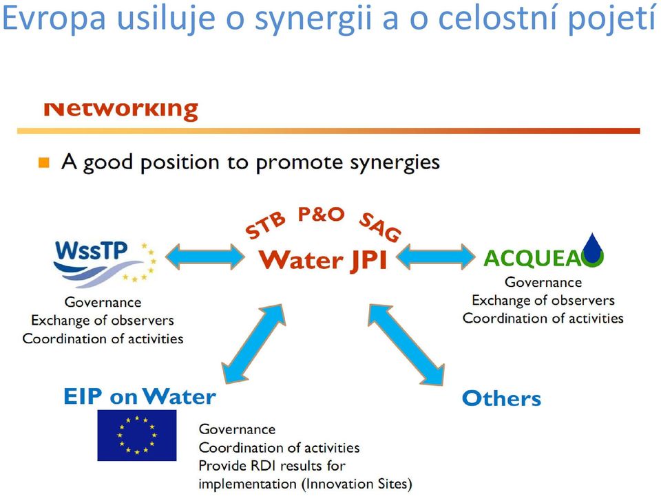 synergii a