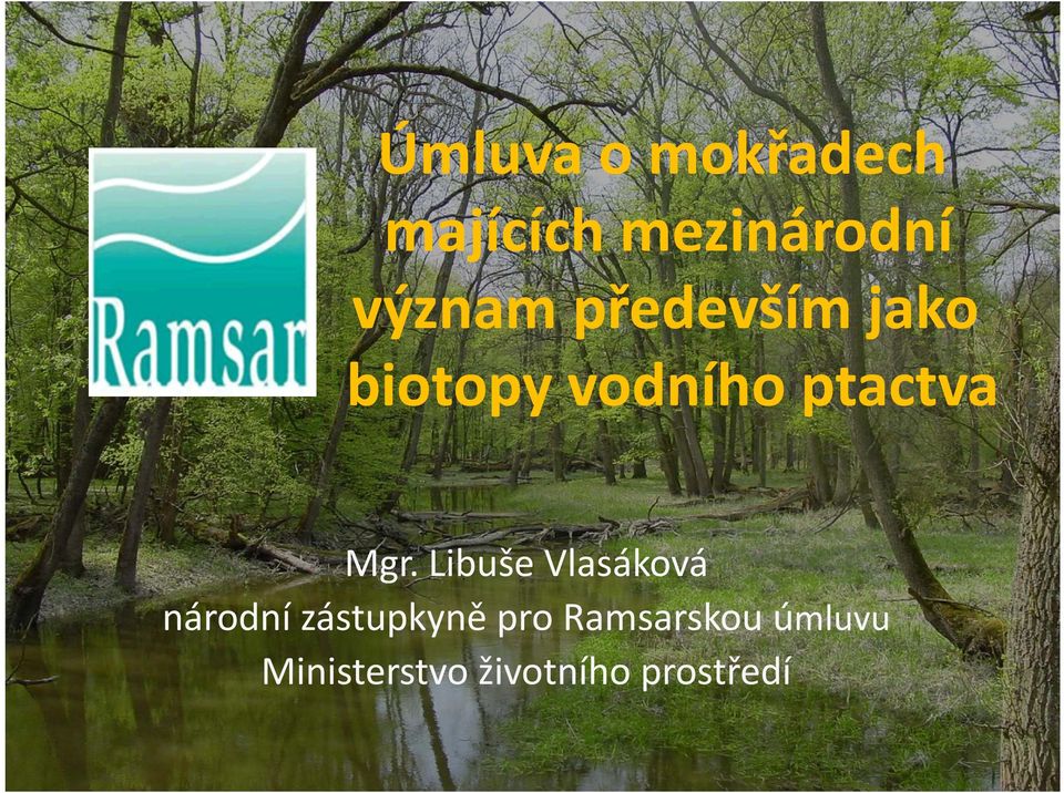 Mgr. Libuše Vlasáková národní zástupkyně pro