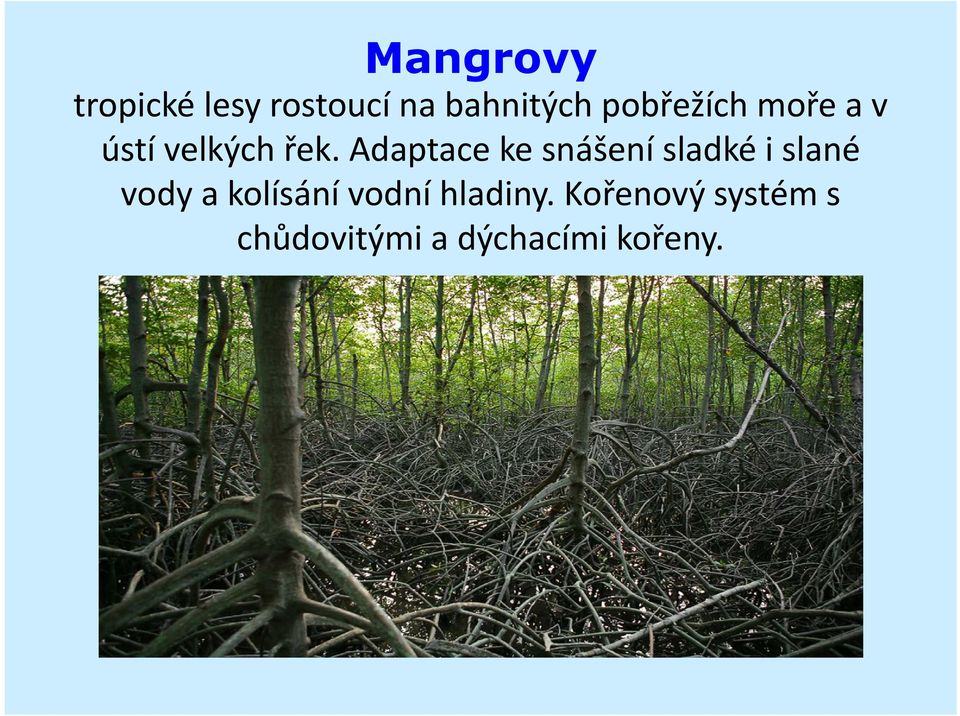 Adaptace ke snášení sladké i slané vody a