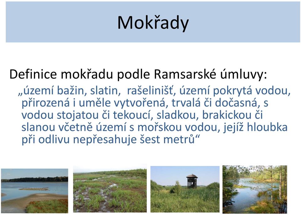dočasná, s vodou stojatou či tekoucí, sladkou, brakickou či slanou