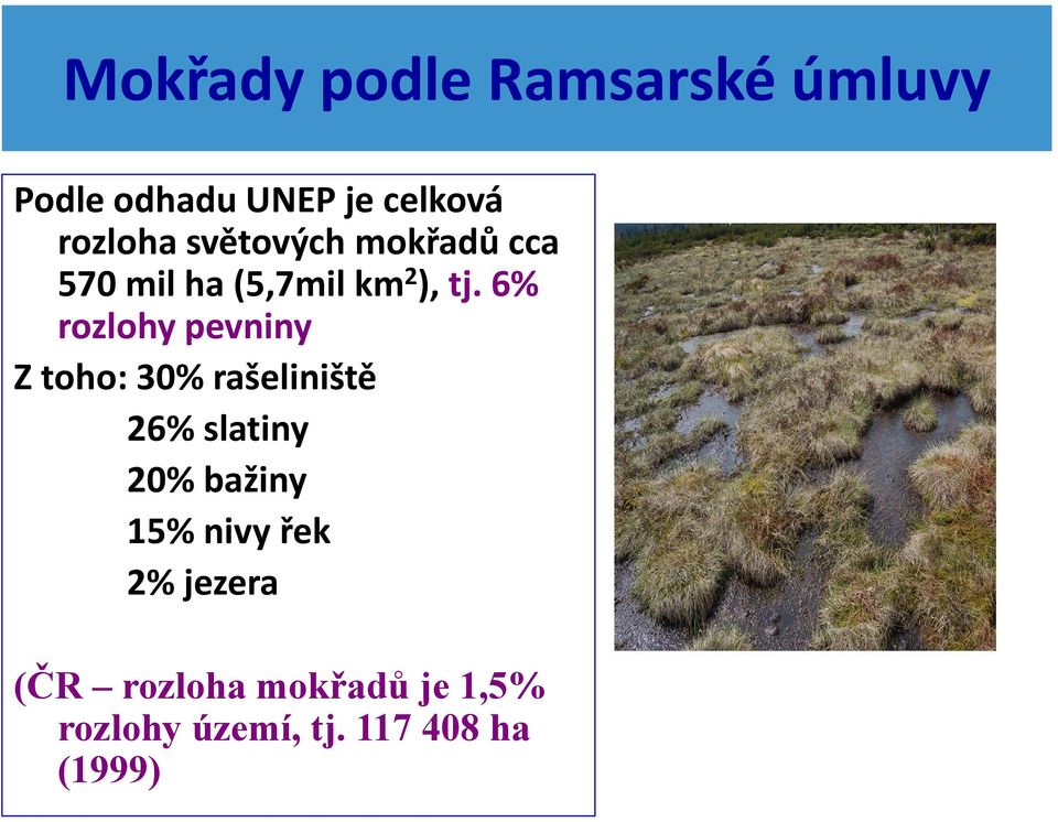6% rozlohy pevniny Z toho: 30% rašeliniště 26% slatiny 20% bažiny