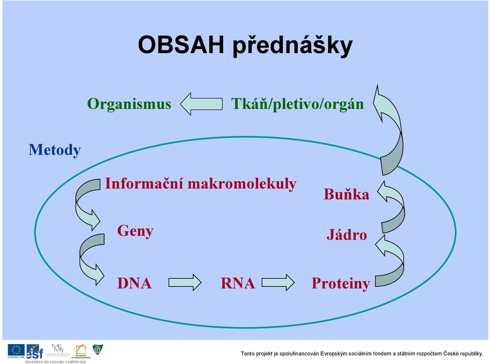 Informační makromolekuly