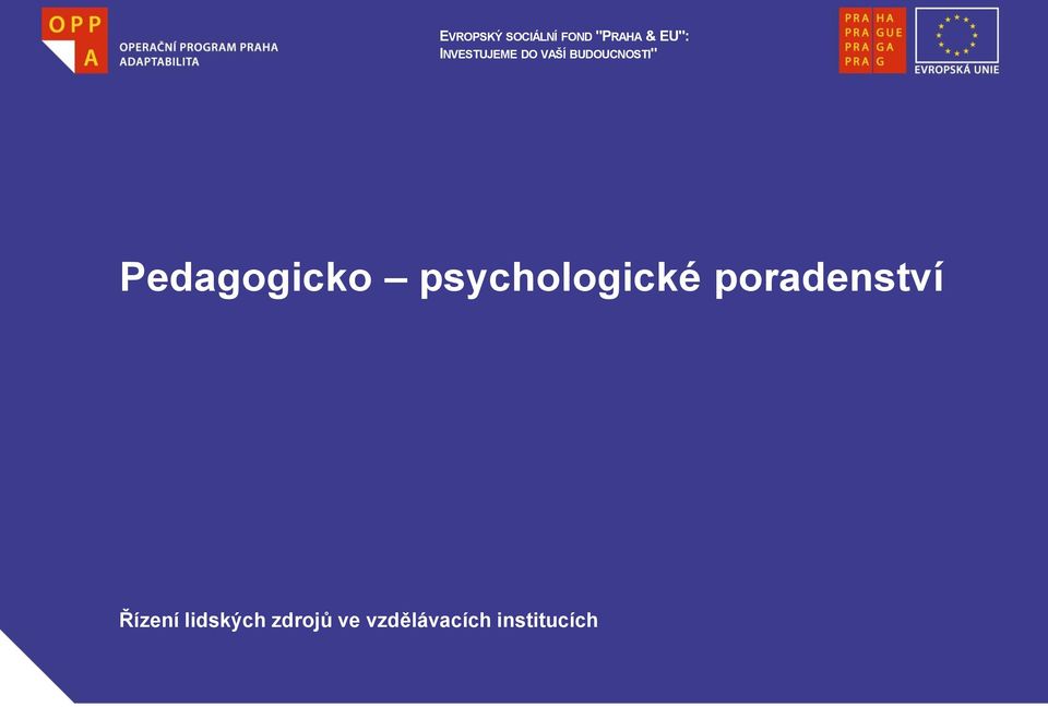 Pedagogicko psychologické poradenství