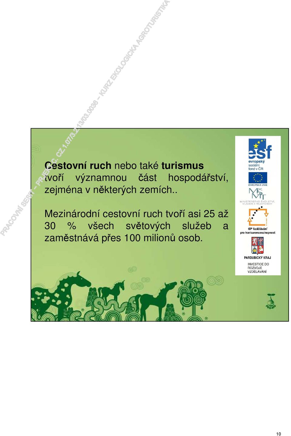. Mezinárodní cestovní ruch tvoří asi 25 až 30 %