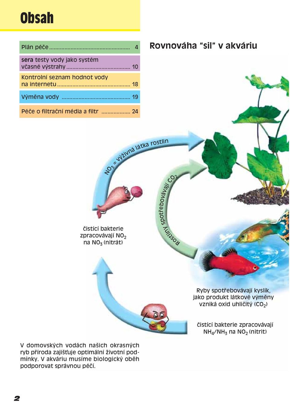 .. 24 NO 3 = v ûivná Ëistící bakterie zpracovávají NO 2 na NO 3 (nitrát) látka rostlin spot ebovávají CO2 Rostliny Ryby spot ebovávají kyslík, jako