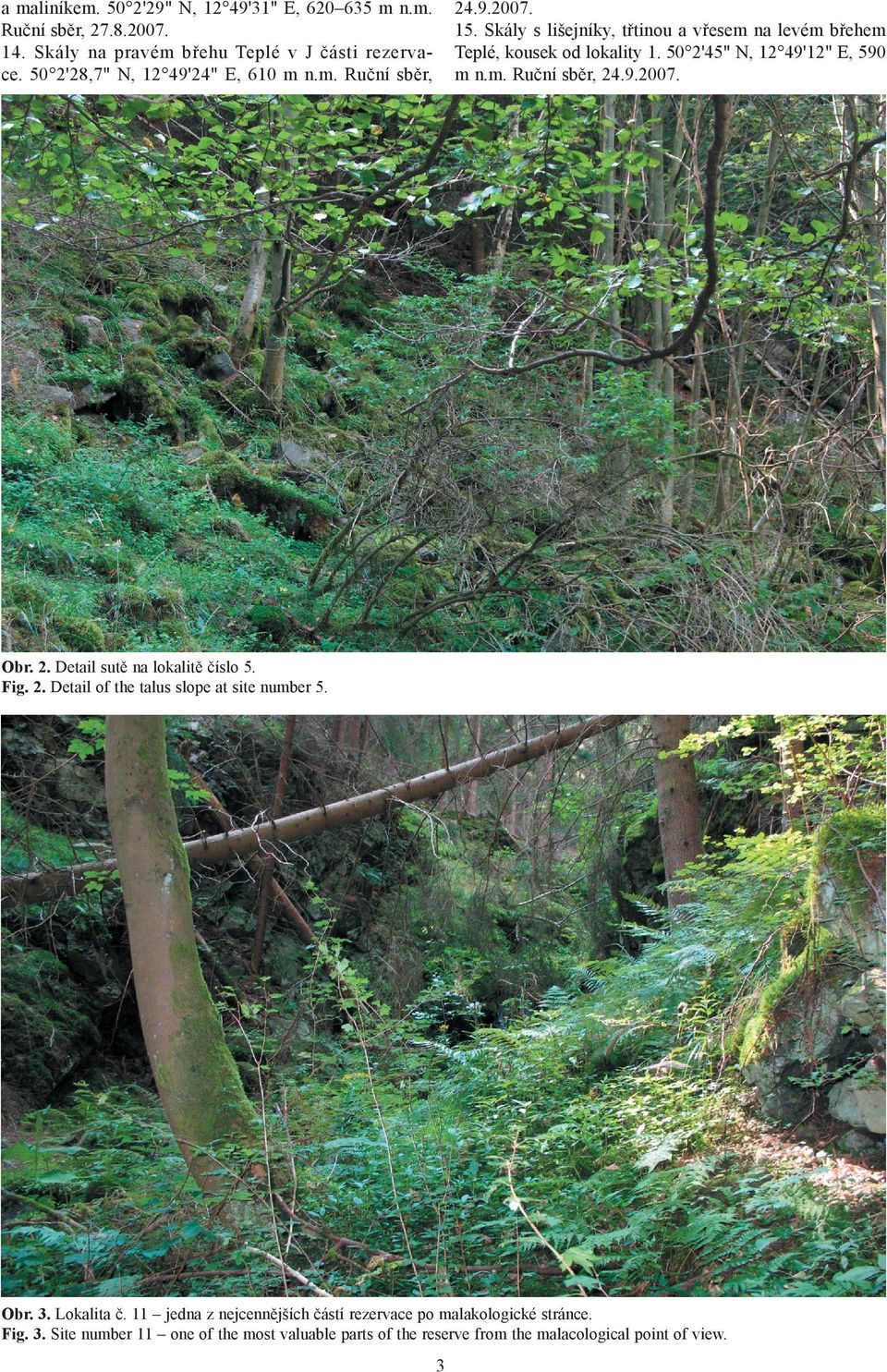 50 2'45" N, 12 49'12" E, 590 m n.m. Ruční sběr, 24.9.2007. Obr. 2. Detail sutě na lokalitě číslo 5. Fig. 2. Detail of the talus slope at site number 5. Obr. 3.