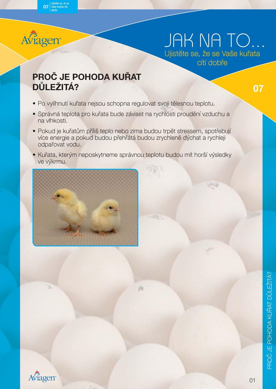 Správná teplota pro kuřata bude záviset na rychlosti proudění vzduchu a na vlhkosti.