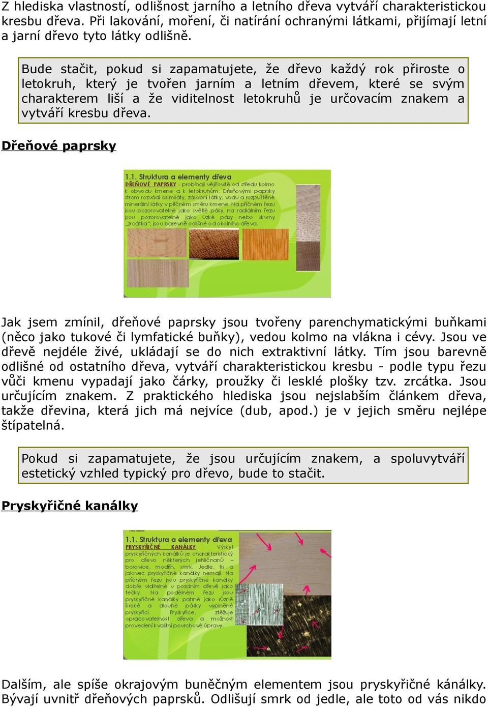 vytváří kresbu dřeva. Dřeňové paprsky Jak jsem zmínil, dřeňové paprsky jsou tvořeny parenchymatickými buňkami (něco jako tukové či lymfatické buňky), vedou kolmo na vlákna i cévy.