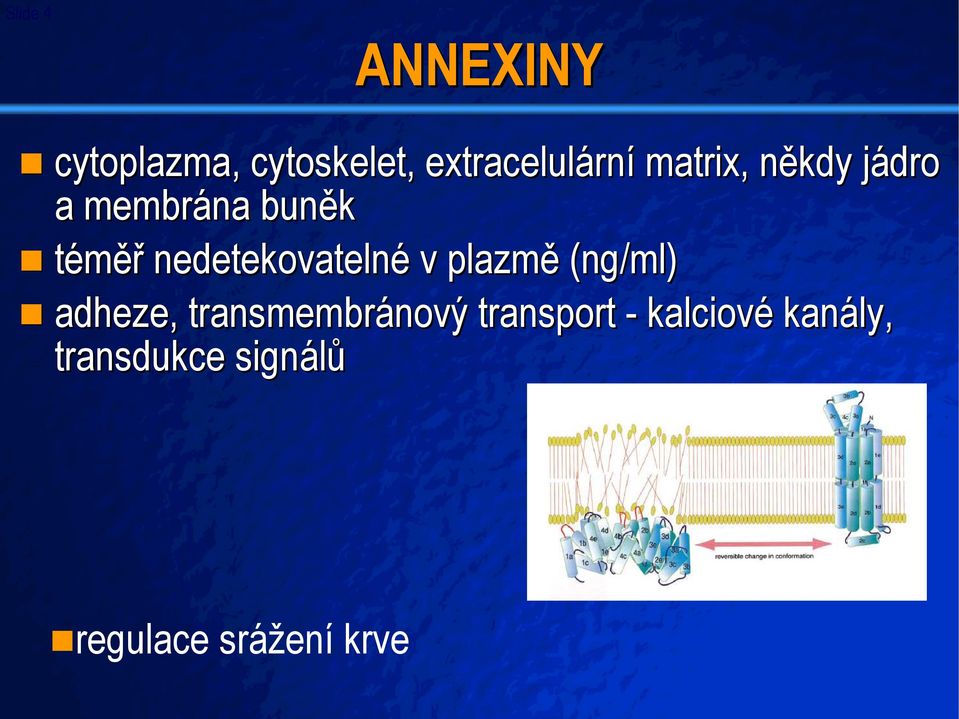 v plazmě (ng/ml) adheze, transmembránový nový transport -