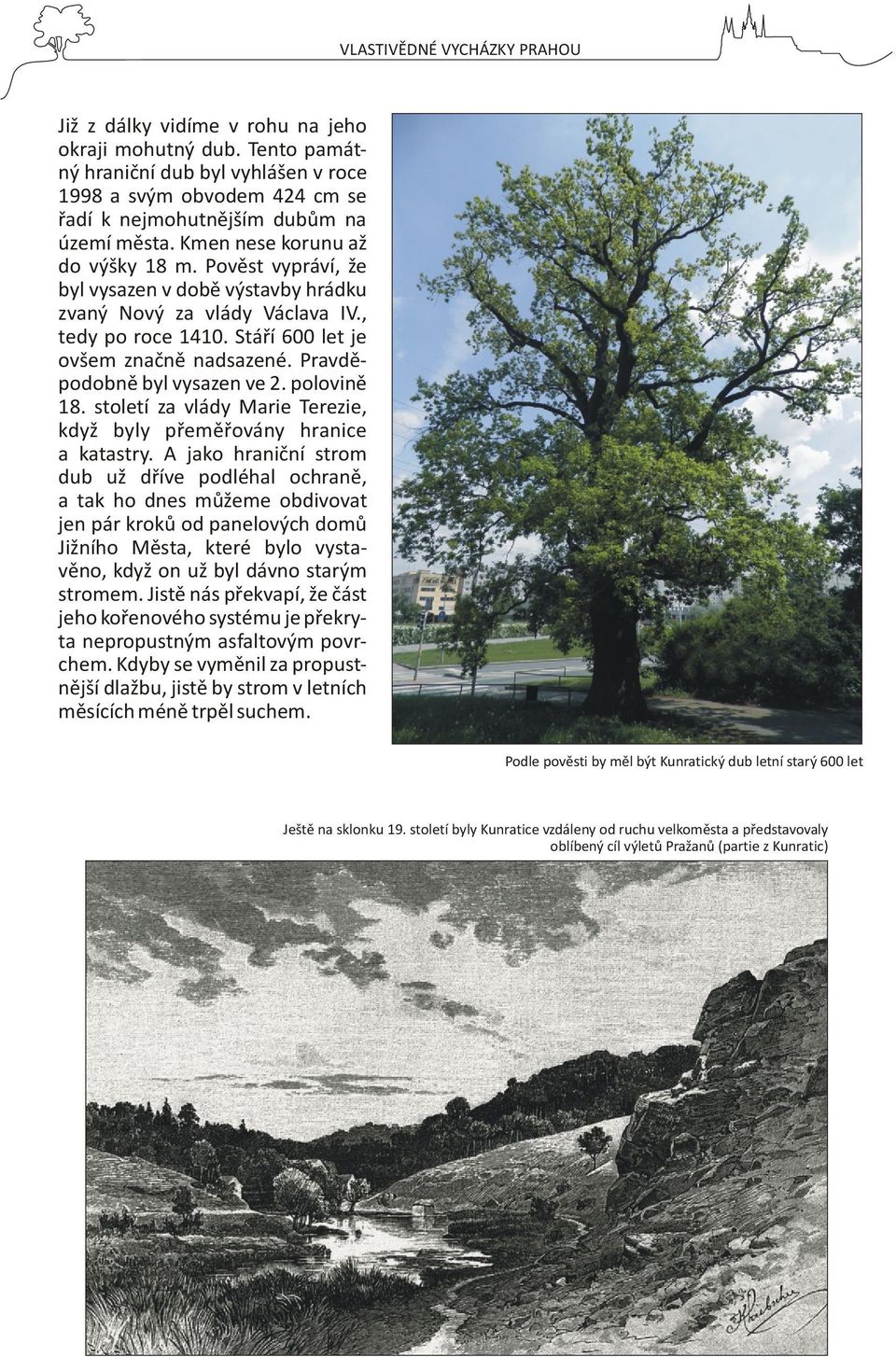 Pravdìpodobnì byl vysazen ve 2. polovinì 18. století za vlády Marie Terezie, když byly pøemìøovány hranice a katastry.
