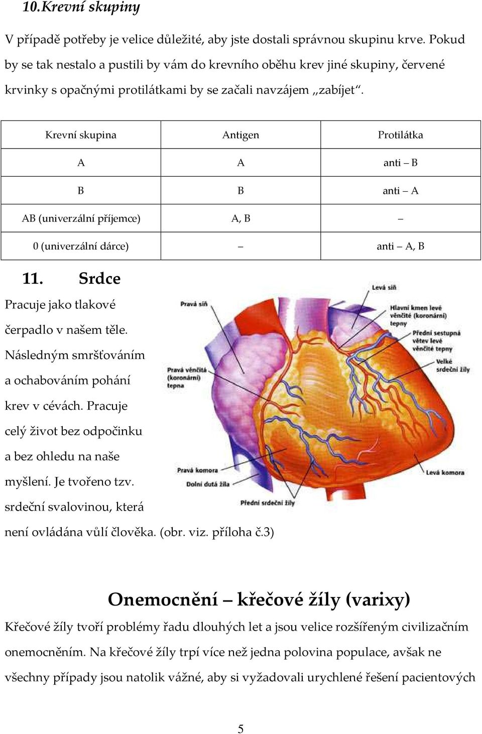 Krevní skupina Antigen Protilátka A A anti B B B anti A AB (univerzální příjemce) A, B 0 (univerzální dárce) anti A, B 11. Srdce Pracuje jako tlakové čerpadlo v našem těle.