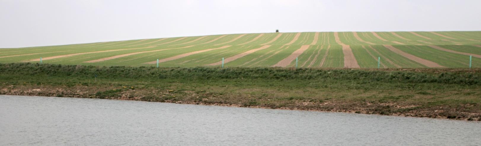 Úpravy okolí nádrže V okolí prostoru zátopy se doporučuje vytvořit travní pás o minimální šířce 15 m; pás především zabraňuje přímému přísunu sedimentu z okolních pozemků do nádrže Pro vytvoření