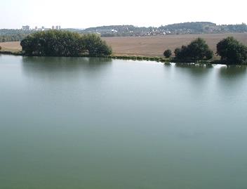 K. Vodní plochy 1. Rybníky 2. Umělé nádrže Charakteristika: Větší nebo středně velké vodní plochy, převážně založené uměle jako rybníky nebo přehradní nádrže.